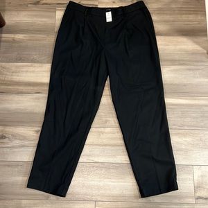 Loft Chino Pant